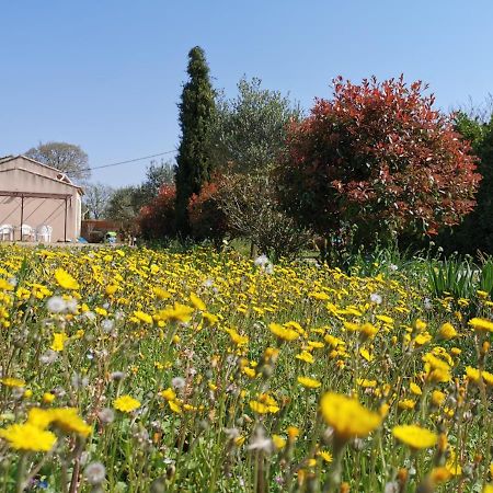 Maison De Vacances L'Hote Champetre Campagne Arlesienne Екстериор снимка