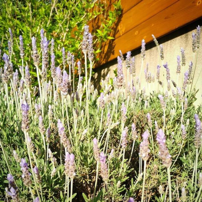 Maison De Vacances L'Hote Champetre Campagne Arlesienne Екстериор снимка