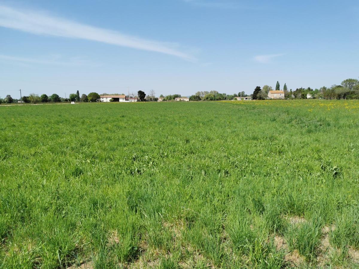 Maison De Vacances L'Hote Champetre Campagne Arlesienne Екстериор снимка